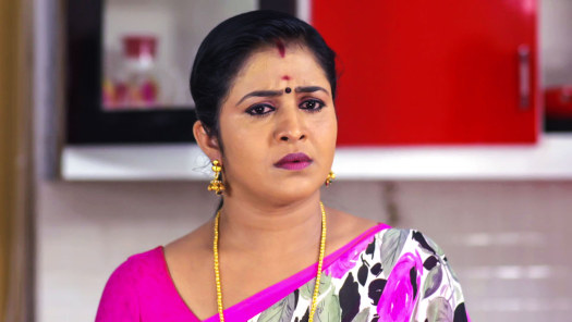 Watch Vanambadi Season 2 Full Episodes on Hotstar