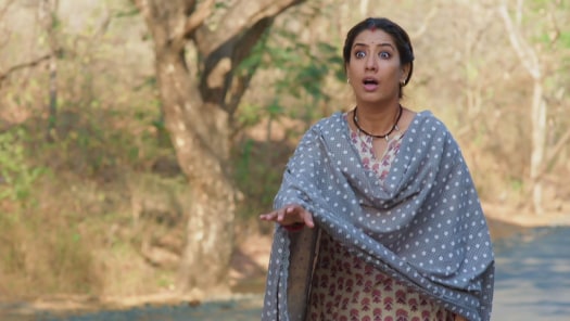 Kulfi Kumar Bajewala Disney Hotstar
