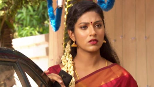 Raja rani serial full episodes in tamil hotstar discount