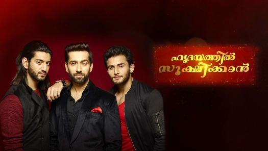 Watch Asianet Plus Serials Shows Online on Disney Hotstar