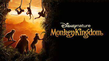 Monkey Kingdom