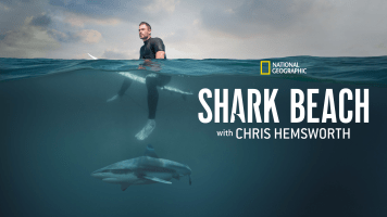 Shark Beach with Chris Hemsworth