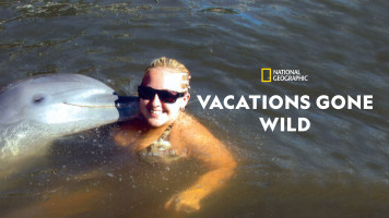 Vacations Gone Wild