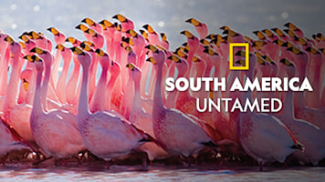 South America: Untamed