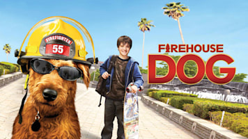 Firehouse Dog