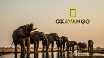 Okavango: River Of Dreams: Divine Journeys