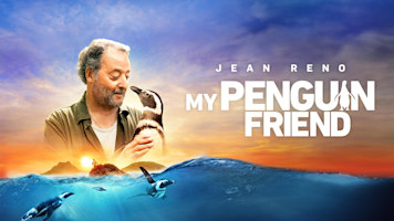 My Penguin Friend