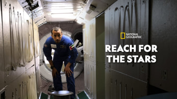 Reach For The Stars