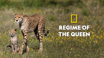 Regime of the Queen