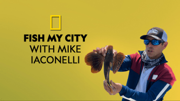 Fish My City with Mike Iaconelli