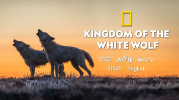 Kingdom Of The White Wolf