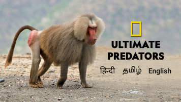 Ultimate Predators