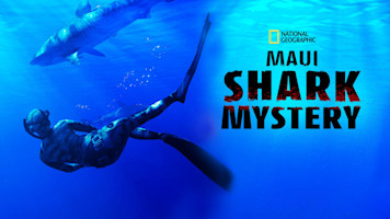 Maui Shark Mystery