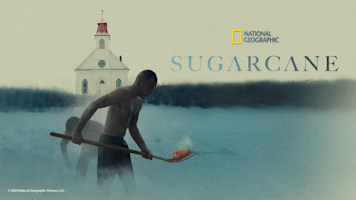 Sugarcane