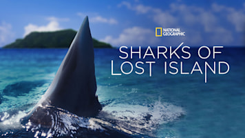 Sharks of Lost Island