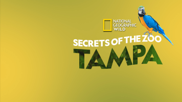 Secrets Of The Zoo Tampa Documentary Tv Series Full Episode Online Nonton Semua Episode Terbaru Di Disney Hotstar
