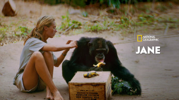 Jane - Disney+ Hotstar