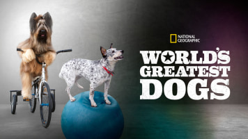 World's Greatest Dogs