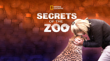 Secrets Of The Zoo Reality Tv Series Nonton Semua Episode Terbaru Online Di Disney Hotstar