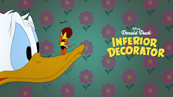 Inferior Decorator