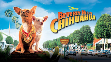 Beverly Hills Chihuahua