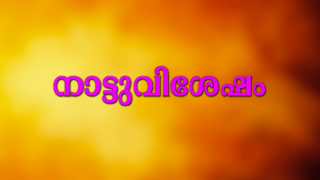 Nattu Vishesham