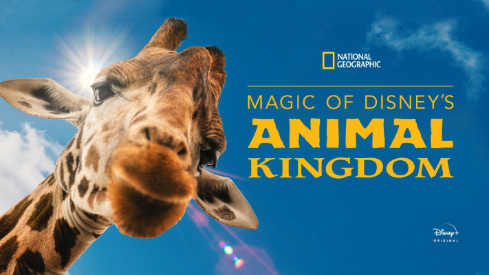 Magic of Disney's Animal Kingdom - Disney+ Hotstar