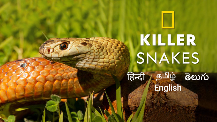Killer Snakes - Disney+ Hotstar