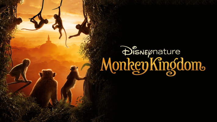 Monkey Kingdom - Disney+ Hotstar