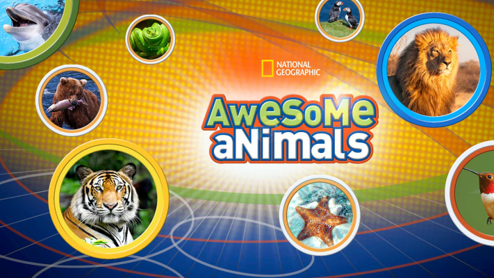 Awesome Animals - Disney+ Hotstar