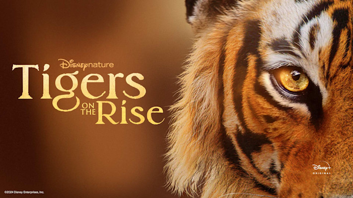 Tigers on the Rise - Disney+ Hotstar