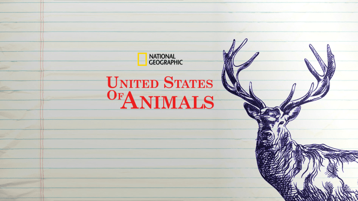 United States Of Animals, Documentary TV Series - Nonton Semua Episode  Terbaru Online di Disney+ Hotstar