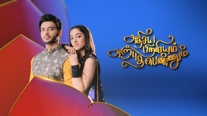 Vijay tv shows online free download