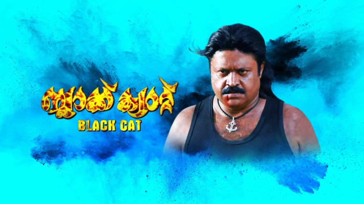 Cats full movie on sale online