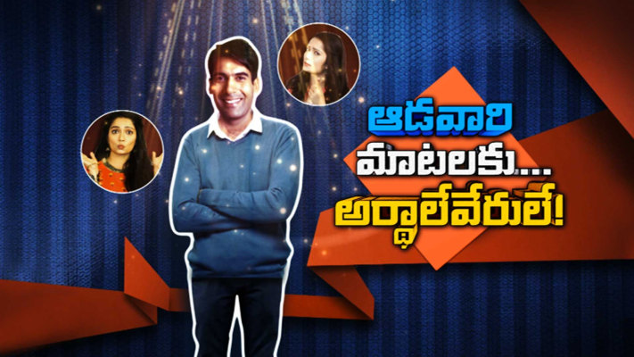 Adavari Matalaku Arthale Verule Disney  Hotstar