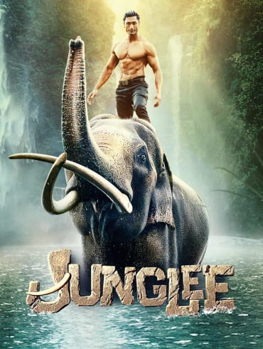 Baaghi sales movie hotstar