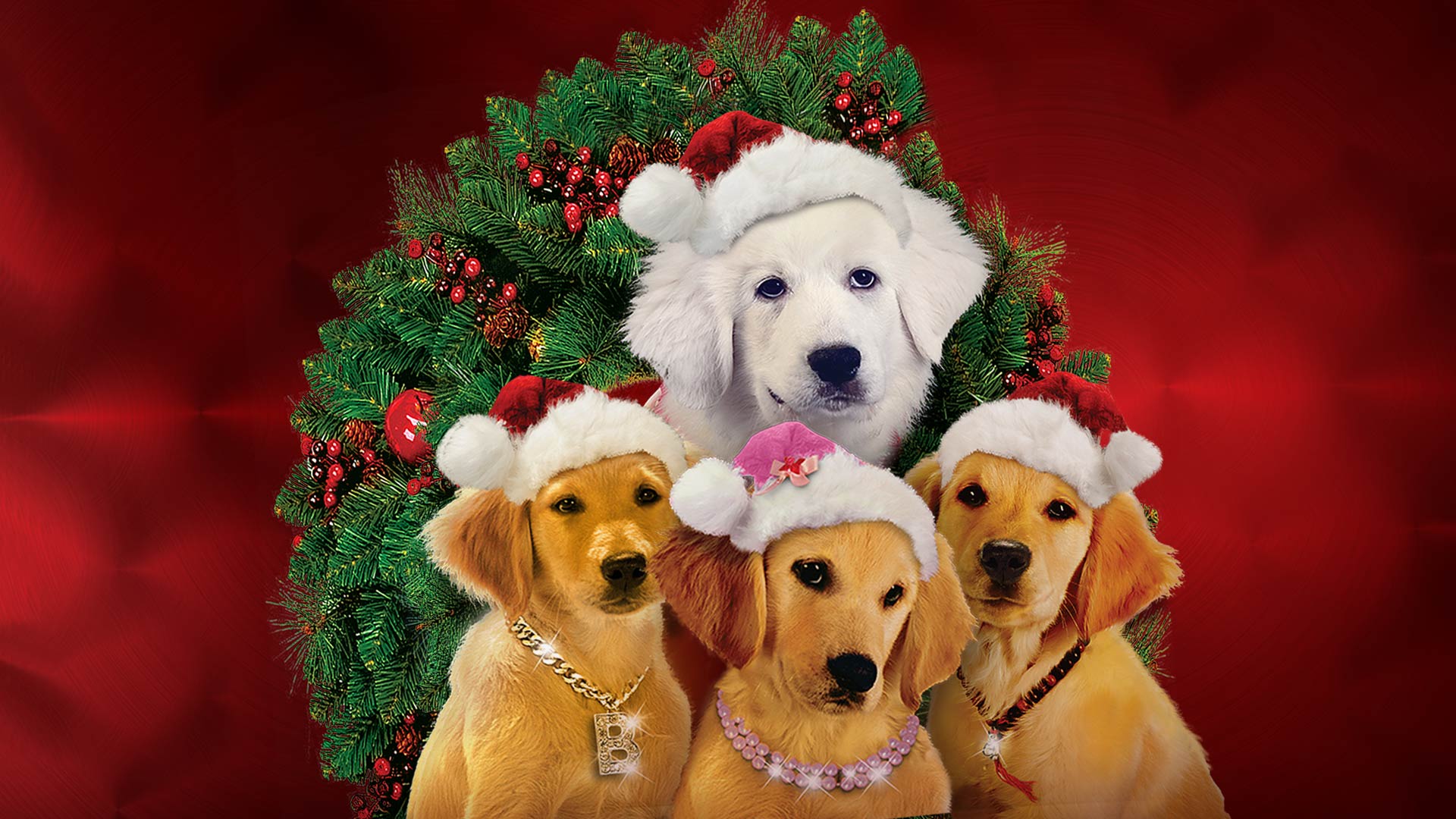 Santa Buddies: The Legend of Santa Paws on Disney+ Libya | English ...