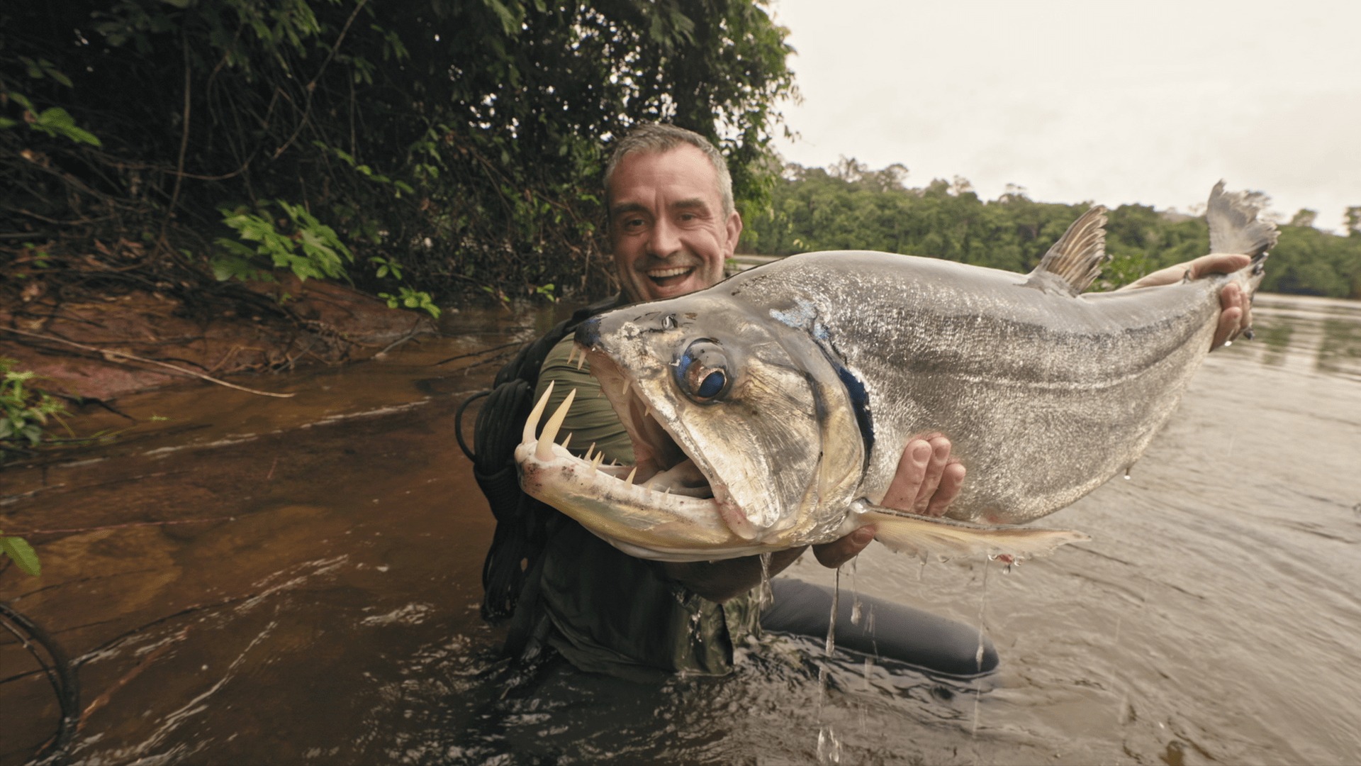 Watch Last of the Giants: Wild Fish S1 Episode 2 on Disney+ South ...