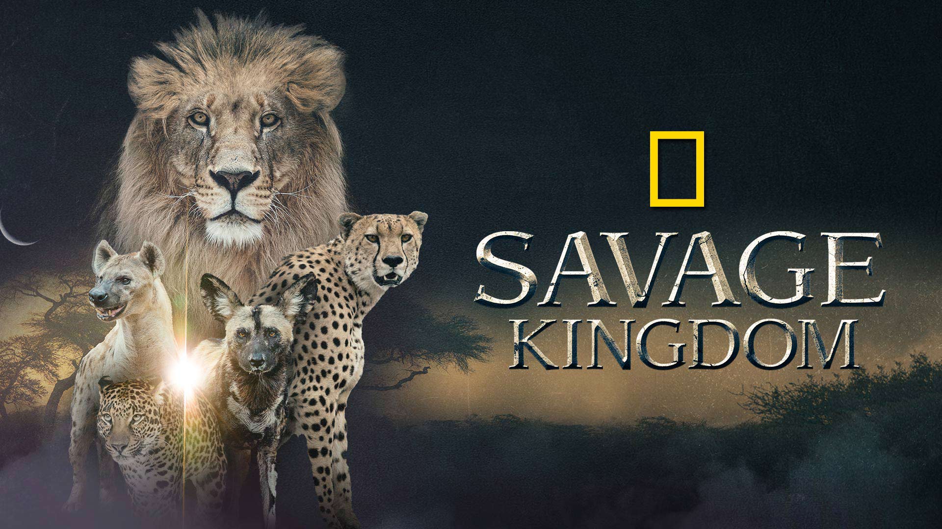 watch-all-seasons-of-savage-kingdom-on-disney-hotstar