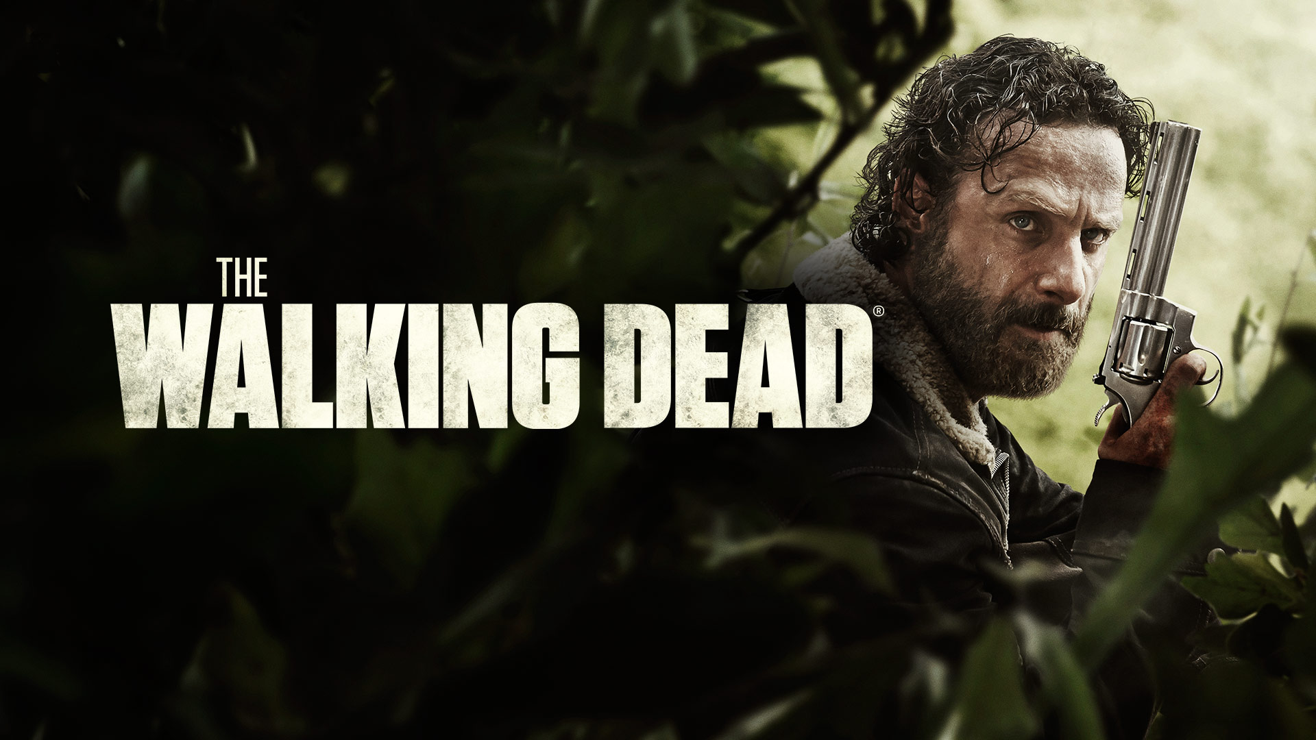 Where to Watch Every Season of 'The Walking Dead