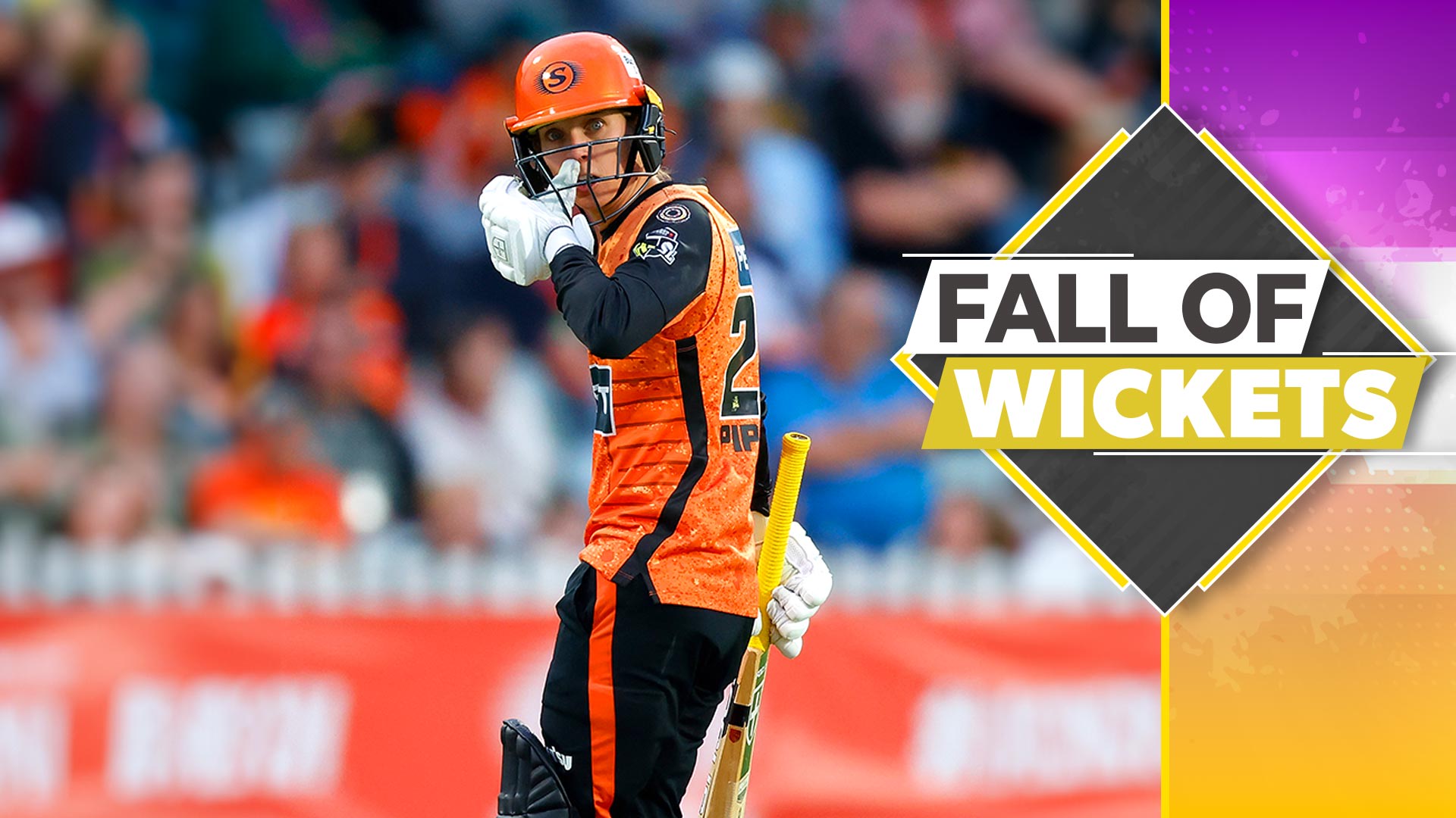 Thunder vs Scorchers: Scorchers FOW