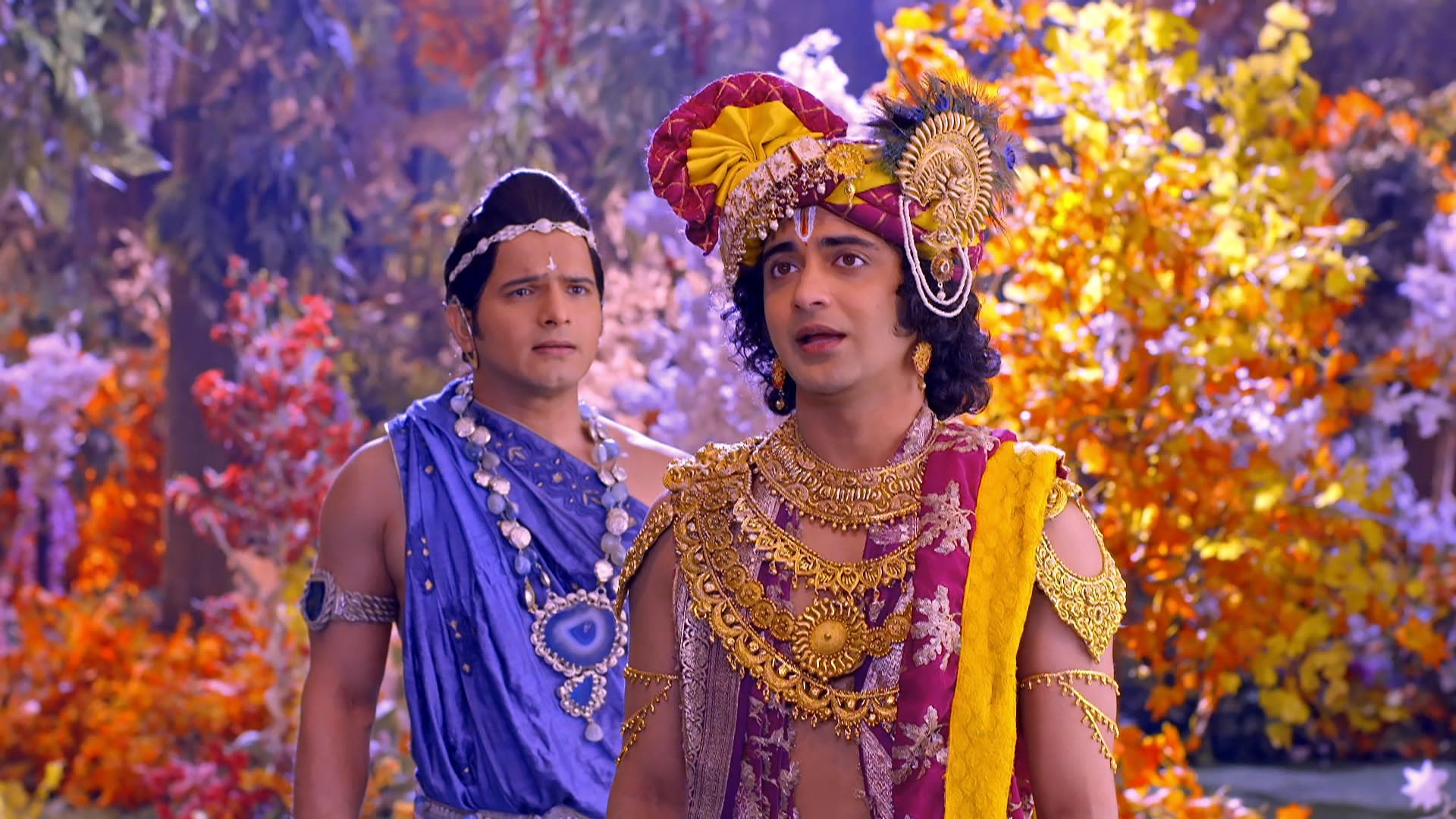 Krishna Reveals His Distress