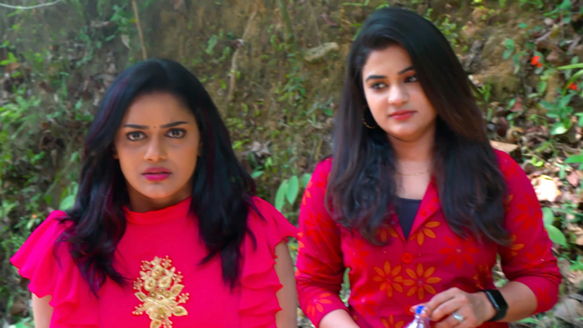 Watch Palunku S1 Episode 88 on Disney+ Hotstar