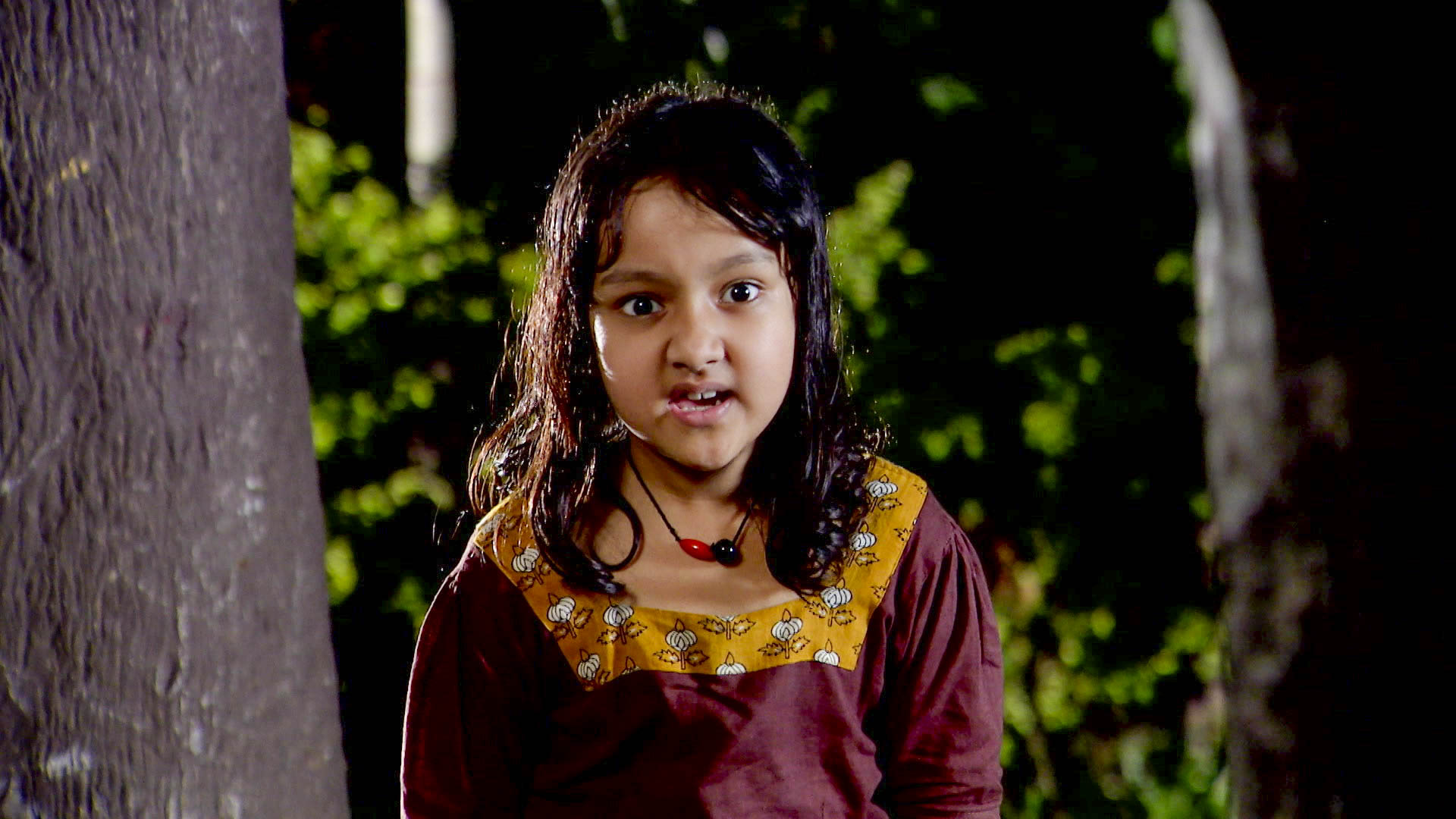 Watch Nishir Daak S1 Episode 55 on JioHotstar