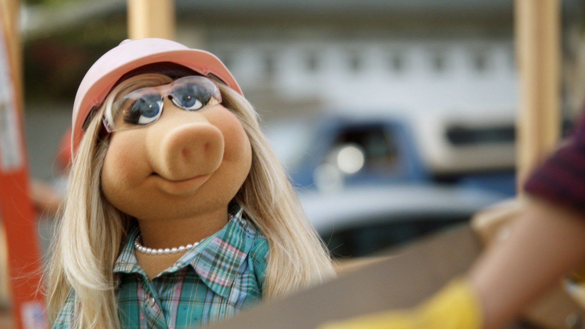 Watch The Muppets (Series) S1 Episode 5 on Disney+ United Arab Emirates ...