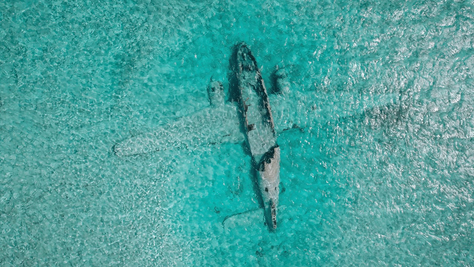 Watch Drain The Oceans S5 Episode 6 On Disney Uae English Docuseries