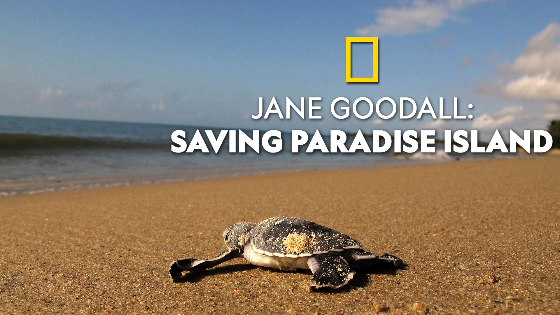 Jane Goodall - Saving Paradise Island