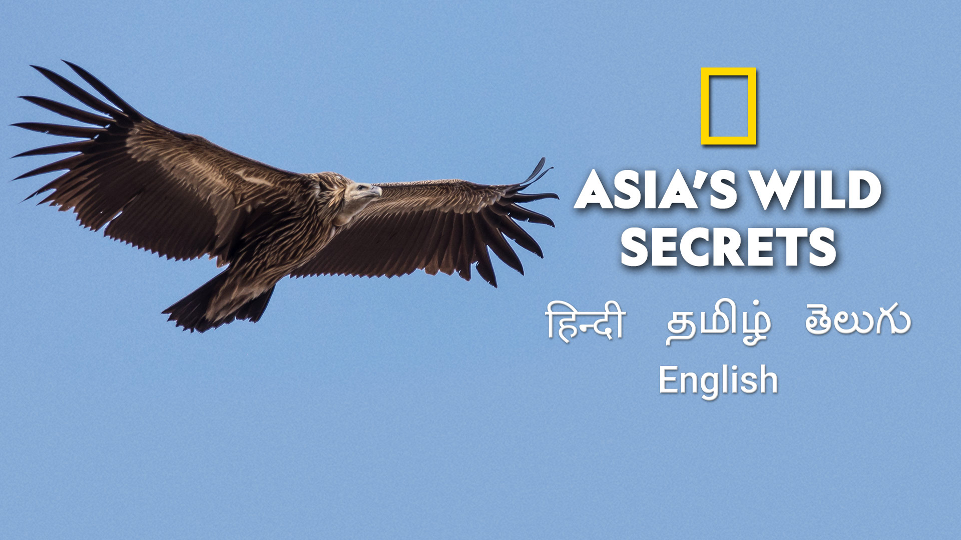 Asia's Wild Secrets