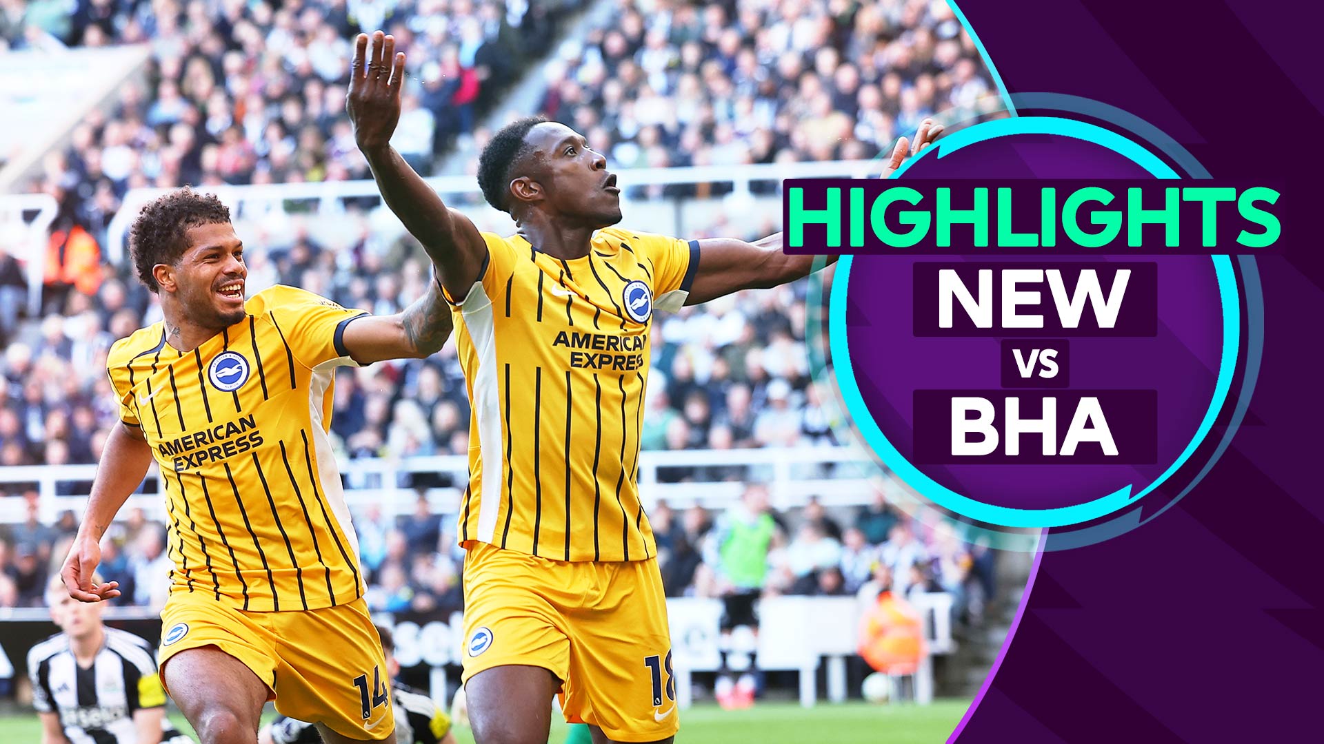 MW 8: Newcastle 0-1 Brighton