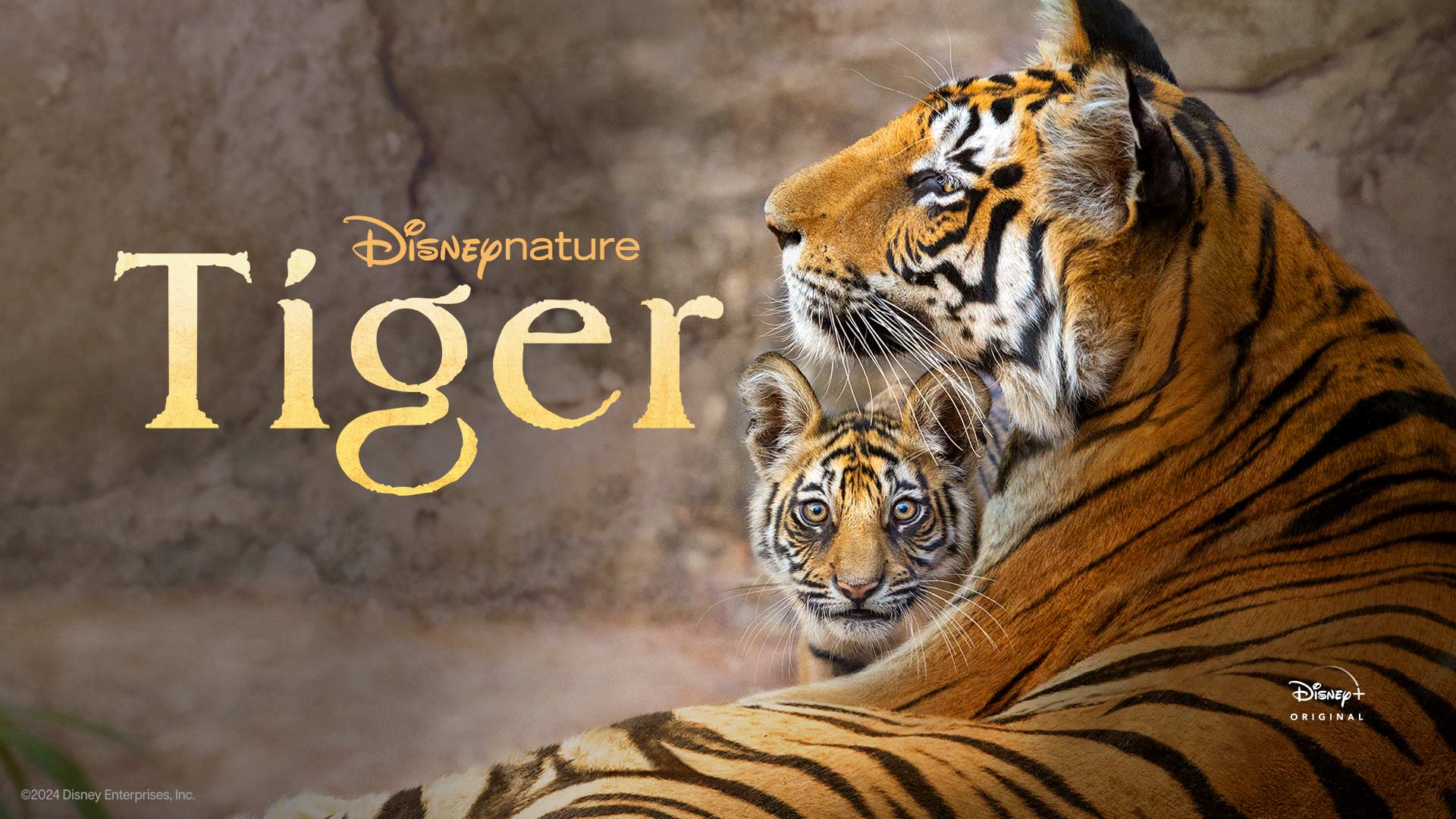 Der Tiger Der Offizielle Trailer Zu Dennis Gansels Kriegsfilm Der Trailer Der Die Welt Bewegt - xii1lap